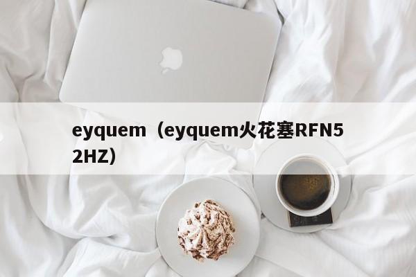 eyquem（eyquem火花塞RFN52HZ）