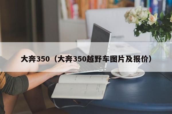 大奔350（大奔350越野车图片及报价）