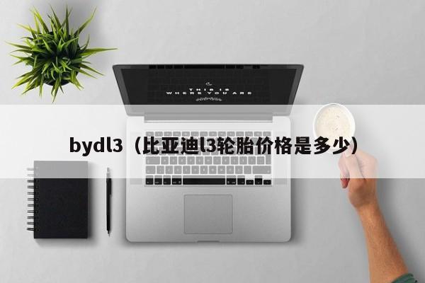 bydl3（比亚迪l3轮胎价格是多少）