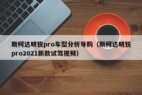 斯柯达明锐pro车型分析导购（斯柯达明锐pro2021新款试驾视频）